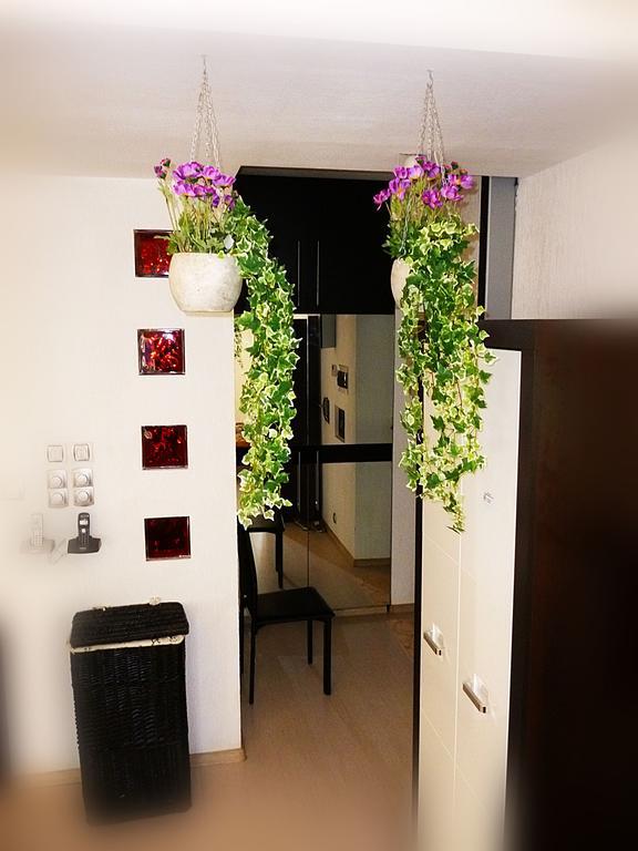 Ditton Apartment City Center Butas *