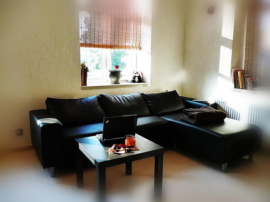 Butas Ditton Apartment City Center Daugavpils