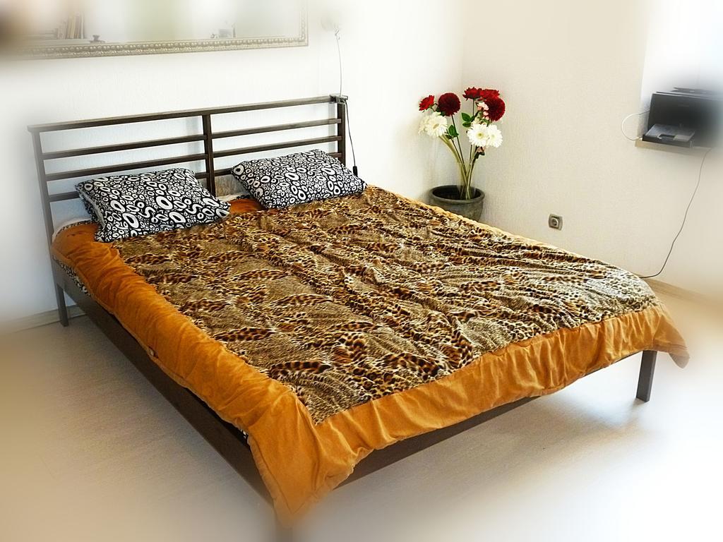 Ditton Apartment City Center Daugavpils